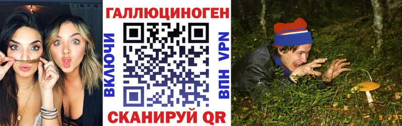 Галлюциногенные грибы Cubensis  Плёс 